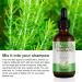 Organic Rosemary Hair Growth Oil - Cold Pressed, 4.04 Oz (Pack of 2) for Hair, Body & Skin - Buy Online on GoSupps.com