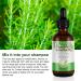 Rosemary Hair Growth Oil | Hair Loss Treatment | Stimulates Growth, Strengthens & Nourishes Scalp | For Men & Women | 2.02 Oz - Buy Online on GoSupps.com