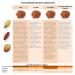Islaverde Organic Raw Cocoa Powder 100% - Premium Dominican Republic 46% Fat Sugar-Free 170g - Buy Online on GoSupps.com