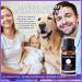Pure Lavender Oil - Therapeutic Grade Essential Oil for Diffuser Skin Care Hair Growth Aromatherapy & Relaxation - 10mL - Buy Online on GoSupps.com