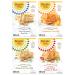 Simple Mills Almond Flour Crackers, Variety Pack (Fine Ground Sea Salt, Rosemary & Sea Salt, Farmhouse Cheddar, and Sun-Dried Tomato & Basil) - Gluten Free, Healthy Snacks, 4.25 Ounce (Pack of 4) Variety Pack 4.25 Ounce (P…