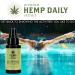Hemp Daily Active Spray | Hemp Spray with Essential Oils | Vegan Organic Ingredients | 2 Fluid Ounces 3 Pack Classic Mint 2 Fl Oz (Pack of 3) - Buy Online on GoSupps.com