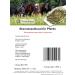Omega Herbs Nettle Herb for Horses - Dried & Cut - 5000g | Premium Quality International Shipping - Buy Online on GoSupps.com