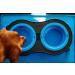 Dexas Popware for Pets Double Elevated Pet Feeder - Large Size, 2.5 Cup Capacity Bowls - Pro Blue - Buy Online on GoSupps.com
