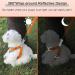Rennaio No Pull Dog Harness & Adjustable Puppy Dishes Set - Ultra Comfortable Chest Harness & Leash for Small & Medium Dogs (Orange Size S) - Shop Internationally - Buy Online on GoSupps.com