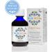 Iron Liquid Mineral Supplement with Nordic Blueberries | Antioxidant-Rich Formula - Buy Online on GoSupps.com
