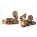 Slofoodgroup Dried Morel Mushrooms (2 oz) - Gourmet Morchella Conica for Culinary Delights | Pack of 1 - Buy Online on GoSupps.com