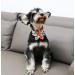 Unique Style Paws Flower Dog Collar | Colorful Adjustable Cotton Collar for Boys & Girls | Metal Buckle | Medium Size for Dogs - Orange & Pink Flowers - Buy Online on GoSupps.com