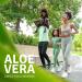 Aloe Life - Daily Greens Tablets, Certified Organic Health Supplement, Antioxidants, 21 Fruits, Veggies, & Herbs Including Aloe & Nopal Cactus, Low-Calorie, Keto-Friendly, Gluten-Free (210 Tablets) - Buy Online on GoSupps.com