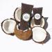 LaLicious Sugar Coconut Body Butter - Hydrating Moisturizing Cream with Shea Butter, Vitamin E & Apricot Oil - 8oz Pack - Buy Online on GoSupps.com