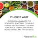 NaturesPlus St John's Wort Extended Release 450mg - 60 Vegan Tablets - Buy Online on GoSupps.com