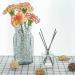 ZTML MS 16000 Clear Water Gel Jelly Beads - Non Toxic Vase Filler for Soilless Planting, Wedding Centerpiece, Floral Arrangement - 16,000 Pieces (Clear) - Buy Online on GoSupps.com