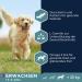 Eukanuba Dog Food for Large Breeds - Lamb & Rice Dry Food 2.5 kg Pack for Adult Dogs - Premium Nutrition - Buy Online on GoSupps.com
