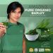 Barley Grass Powder Juice Drink | IAM Worldwide Amazing Pure Organic Barley Powdered Juice Drink Organically grown and cold pressed in Australia | 3 boxes - Buy Online on GoSupps.com