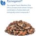 Pycnogenol 100 Pine Bark Supplement - Heart, Brain, Circulation Support - 30 Veg Caps - Buy Online on GoSupps.com