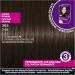 Schwarzkopf Perfect Mousse 365/3-65 Chocolate Brownie Hair Color - Permanent Foam Gray Coverage Intensive Care & Radiant Gloss (93ml) - International Shipping Available - Buy Online on GoSupps.com