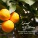 Gya Labs Grapefruit Essential Oil Roll-On 10ml - Sweet Citrus Scent | Pack of 1 - Buy Online on GoSupps.com
