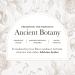Anima Mundi Apothecary Flores Sagradas - Crown Chakra Blend - Organic Herbal Blend with Mugwort and Rose Petals to Promote Relaxation (0.5oz) - Buy Online on GoSupps.com