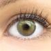 Limone Gray Natural Gray Green Contact Lenses - Silicone Comfort - 1 Pair (2 Pieces) - Dia 14.20 - No Prescription - GlamLens Container Included - Buy Online on GoSupps.com