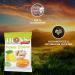 Buy IBONS Sugar-Free Lollipops 75g - Ginger Lemon Flavor | International Shipping - Buy Online on GoSupps.com