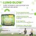 Clean Nutra Mullein Gummies for Lung Health Support with Elderberry Chlorophyll Spirulina Tart Cherry Sea Moss Vitamin C Lutein Marshmallow Root Licorice Root Superfood Greens Mucus Relief 60 Gummies - Buy Online on GoSupps.com