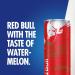 Red Bull Energy Drink 250 ml x12 and Red Bull Energy Drink Red Edition Watermelon 250 ml x12 + Red Edition - Buy Online on GoSupps.com