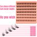 DIY Wispy Volume 3D Cluster Eyelash Extensions for Natural Look - YB14 - Buy Online on GoSupps.com
