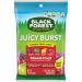 Black Forest Juicy Burst Fruit Snacks Mixed Fruit 2.25 Ounce Pack of 48