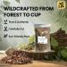 Herb To Body Cascara Sagrada Bark Cut & Sifted and Senna Leaf Whole - Wildcrafted Herbs 4 oz each - Buy Online on GoSupps.com