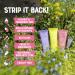 Buy DR. LIPP Travel Pack 4x30ml 23-in-4 Multi-Use Skincare Set | 100% Natural Fragrance & Cruelty Free | International Shipping Available - Buy Online on GoSupps.com