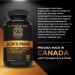 Organic Lion's Mane Mushroom Capsules - Nootropic Mushroom Supplements Formulated With 40% Polysaccharides & 20% Beta-Glucan! Immunomodulating Properties & A Potent Source Of Antioxidants. Supports Memory Cognition & Brain Health - 120 Capsules 120 count  - Buy Online on GoSupps.com