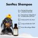 Buy Belly Nourishing Dog Shampoo - Perfect Puppy Shampoo with Keratin & Green Tea | 250ml for Long-Haired Dogs - Fresh Scent & Nourishing Care - Buy Online on GoSupps.com