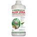 Tomodachi aloe vera dog barf addition nutritional supplement dog feed additive pure natural product without chemicals aloe vera premium direct juice from the inner gel plant fresh aloevera 1l bottle