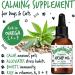 Bugalugs Hemp Oil Dog Calming Products 50ml- Nervous dog products for dog anxiety relief - Hemp oil for dogs uk & cats organic food supplements with omega 3 6 9 support hip joint & dog calming - Buy Online on GoSupps.com