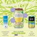 Swoon Half Unsweetened Iced Tea & Half Lemonade - Low Carb Paleo-Friendly Gluten-Free & Keto Tea Beverages - 100% Natural Lemon Juice - 12 fl oz (Pack of 12) - Buy Online on GoSupps.com