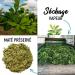 ORIGEENS ORGANIC and FAIRTRADE YERBA MATE 1KG - The Wild | Organic Unroasted Yerba Mate Leaves Without Dust | Energy and Detox Drink - Buy Online on GoSupps.com