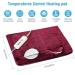 Electric Heated Foot Warmer | Soft Flannel | 2h Auto Off | 3 Temp Settings | Pain Relief | Full Body Use for Feet, Hands, Back | Pocket Design | 16 x 22 | Red - Buy Online on GoSupps.com