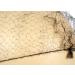 Yes!Fresh 109IR Lightweight Regular 22 Size 1/4 Opening Nylon Invisible Hairnet (Brown) - Buy Online on GoSupps.com