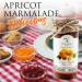 ATIYE LACIN Natural Homemade Apricot Marmalade (Kayisi Marmelati) | Made by 100% Natural Hand-picked Apricots | Preservative Colorant Thickener Additive Free | No Refined Sugar | 100% Vegan | 250g - Buy Online on GoSupps.com