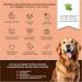 Moofurr Dog Toothpaste 75ml - Natural Beef Flavor Tartar Removal & Dental Care for Dogs - Daily Use - Buy Online on GoSupps.com