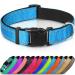 Joytale Dog Collar Reflective Dog Collar for Medium-Sized Dogs M Blue M (Pack of 1) Blue