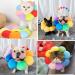 XSQD Protective Collar Dogs Cats Cat Cone Collar with Adjustable Buckle Soft Pet Recovery Collar Puppy Adjustable Collar Kitten Neck Collar Surgery Healing Elizabeth Collar Comfy Cotton Collar Multicolour M - Buy Online on GoSupps.com