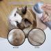 IMAAL Cat Brush with Flea Comb - Self Cleaning Slicker Dog Brush - Pet Grooming Tool with Release Button - Gray - Buy Online on GoSupps.com