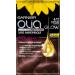 Garnier Olia Glow Permanent Hair Colour Ammonia-Free Natural Flower Oils Very Light Ash Brown (6.12) - Buy Online on GoSupps.com