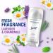 Secret Clinically Proven Aluminum Free Deodorant for Women Lavender & Chamomile Scent 2.4 oz Lavender & Chamomile 2.4 Ounce (Pack of 1) - Buy Online on GoSupps.com