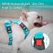 POPOTT Reflective Dog Harness for Large Dogs - Adjustable Soft Padded Vest Without Choke Mint Blue Size L - Buy Online on GoSupps.com