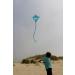In The Breeze 30 Graphic Diamond Kite Shark - Buy Online on GoSupps.com
