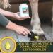 Emma Hoof Oil for Horses - 480ml with Brush | Ultimate Hoof Care & Growth | Huffett Hoof Balm & Ointment - Buy Online on GoSupps.com