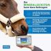 Imima Mineral Lick Stones for Horses Sheep & Goats - 6kg Multivitamin Bronchial Salt Lick Set - Optimal Health & Wellness - Buy Online on GoSupps.com