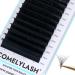 Easy Fan Volume Lashes 0.03/0.05/0.07mm CC/D Curl Volume Lash Extensions 13mm Length Black Fanning Eyelash Extension Supplies(0.05-D-13mm) 13mm 0.05-D